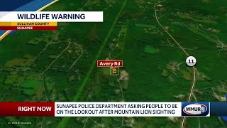 Sunapee police issue alert after woman says she saw mountain lion
