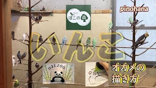 王子動物園・とりみカフェ　ぽこの森　オカメインコの描き方　pinohana