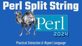 Perl Programming Tutorial: Split Strings 2024