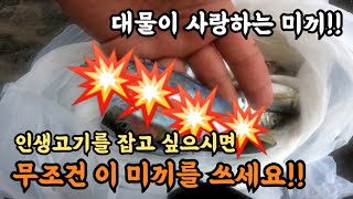 대물용 미끼로 이걸 추천합니다!!