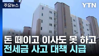 돈 떼이고 이사도 못 하고...전세금 사고 대책 시급 / YTN