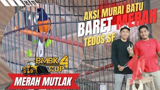 Wedaaannnnn, Merah 🔴 Mutlak - Baret Merah Tedos SF (Roadshow BMBK CUP 4)