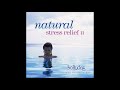 natural stress relief ii music for your health dan gibson u0026 hennie bekker