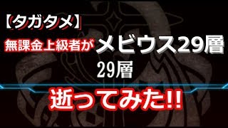 【タガタメ】無課金上級者が「メビウス29層」逝ってみた!!