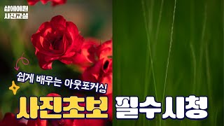 누구나 쉽게 아웃포커싱 잘하는 방법 (feat. 감성사진)