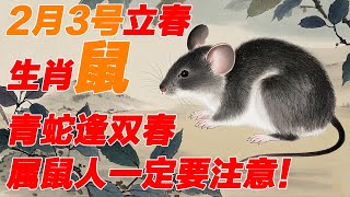 [青蛇逢雙春]2月3號立春，屬鼠人一定要注意！百年難得一遇，生肖鼠千萬不要錯過！切忌！#2025年運勢 #2025年 #十二生肖 #生肖 #健康運勢 #運勢 #熱門 #財運 #風水 #立春