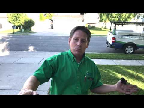 Wayne's CO story Wayne's CO story