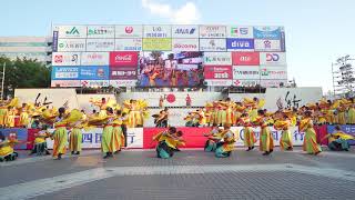 [4K] 同志社大学よさこいサークル「よさ朗」　高知よさこい祭り 2018 本祭１日目