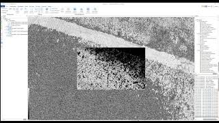 NAIT Lidar and Tree Segmentation