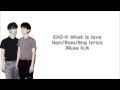 EXO K-What is love (Han/Rom/Eng lyrics)