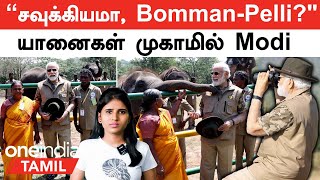 Modi-Bomman and Pelli meet | புகழ் பொம்மன்-பெள்ளி தம்பதியை சந்தித்து மோடி என்ன பேசினார்?