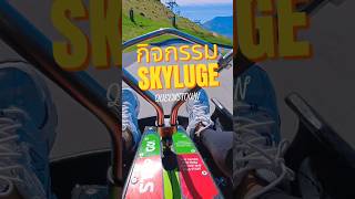 skyluge ที่นิวซีแลนด์ #ถูกที่ถูกทาง #travel #ท่องเที่ยว #เที่ยวต่างประเทศ #นิวซีแลนด์