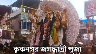 কৃষ্ণনগর জগদ্ধাত্রী পুজো 2024 • Darshan To Visarjan Full Vlog❤️ Arpans Bangla Vlogs