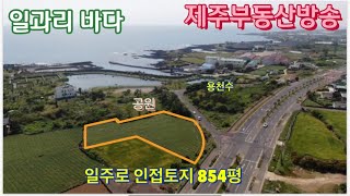 883 | 대정읍 바다조망. 일주로 854평 토지 매매