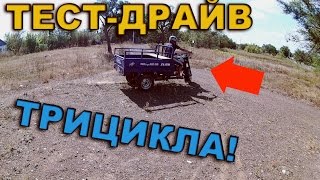 ТЕСТ-ДРАЙВ ТРИЦИКЛА ZUBR 200 сс!!!