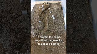 Stream Table Experiment: engineering to prevent flood damage