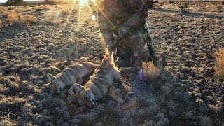 Blood on the X2S | Arizona Coyote Double