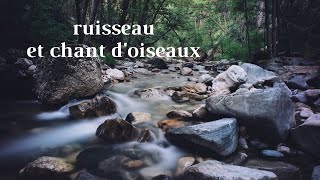 Ruisseau et chant d'oiseaux - Méditation