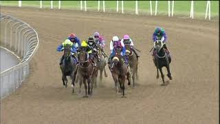 20201223 Hollywoodbets Greyville express clip Race 7 won by TRIP TO AFRICA