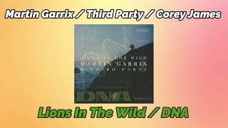 Martin Garrix And Third Party Vs Corey James - Lions In The Wild Vs Dna Martin Garrix Mashup