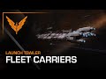 Elite Dangerous - Fleet Carrier Cost and Explanation