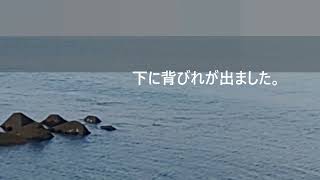 ２０２３年８月２５日】　鮭釣り