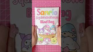 sanrio squishmallows 🩷#blindbag #sanrio #hellokitty #kawaii #diy #asmr #craft #papercraft #unboxing