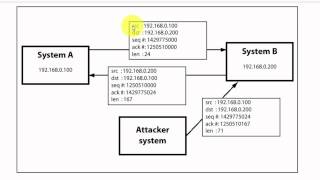 Module 7: TCP/IP Hijacking
