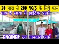 20 मादा से सुअर पालन कि शुरुआत 200 Pig's के लिये Engineer का शानदार #new #pig #farm । Pig farming ।