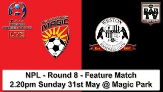 2015 NPL - Round 8 - Feature Match - Broadmeadow Magic v Weston Bears FC