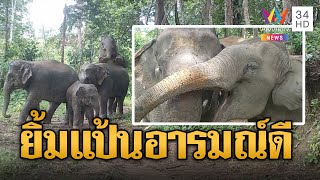 ช้างป่าอารมณ์ดี ยิ้มแป้นหน้ากล้องอวดความน่ารัก | ข่าวอรุณอมรินทร์ | 5/9/67