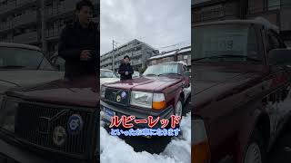 【VOLVO240 4選】営業I氏が選ぶ、雪に合うVOLVO240カラー4選！ #volvo #volvo240 #shorts