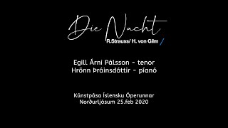 Die Nacht - Egill Árni Pálsson og Hrönn Þráinsdóttir