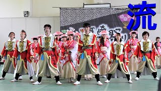 流さん　2015　黒崎よさこい祭り「大賞」