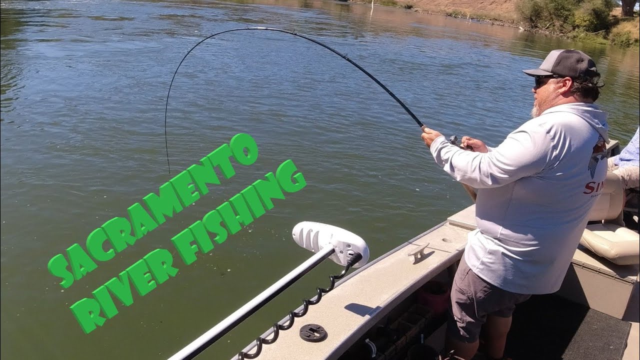 Sacramento River Guided Fishing Trip - YouTube