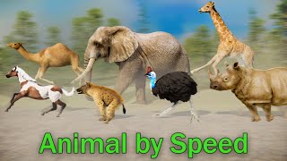 Slow vs Fast: Comparison of Animal Speeds Across Species