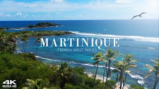 Tropical Island Relaxation 4K – Nature and wildlife scenes | Calm Music | Martinique, Caribbean