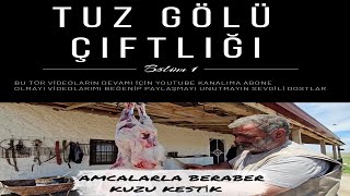 AMCALARLA BERABER KUZU KESTİK