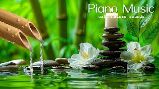 Calming Music with Bamboo Water Fountain - Stress Relief Music, Sleep Music, Relax Mind and Body #5