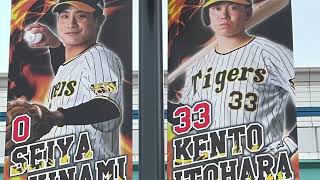 さぁ開幕や我らの阪神タイガース🐯試合前ベンチ雰囲気や甲子園駅\u0026球場前広場に⁉️