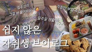 자취생 브이로그 일주일 생활비 | 절약하고싶은 30대 | 직장인 부업 수익 | 갑상선안병증