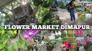 Naga Flower's Lover💐 || Famous Flower Market Super Market ||Shopping At Dimapur Market Nagaland