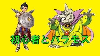 【実況】ドラクエ１０　初見の人と久々のバラモス！(パラディン視点)