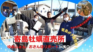 カキの季節到来！寄島漁港の牡蠣直売所巡り～ゆめふぉん・おさんぽリポート（2021年12月9日11:30～放送）