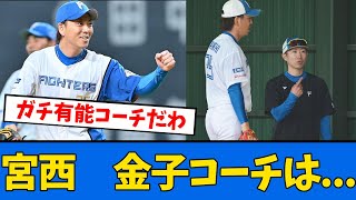 【日ハム】宮西が金子コーチとの”あれ”について語る【プロ野球反応集】【2chスレ】【5chスレ】