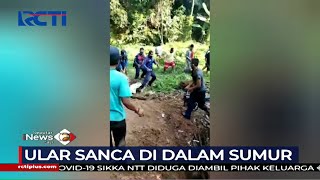 Petugas Damkar Evakuasi Ular Sanca 3,5 Meter dari dalam Sumur #SIP 30/07