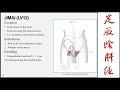 uj online lectures 15 the liver meridian of the foot jueyin