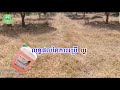 ថ្នាំកំចាត់ស្មៅវាលឃ្លី48sl glyphosate 480g l