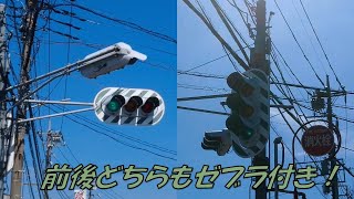 [1つの交差点に縦と横のゼブラ！] 縦信号ゼブラと横信号ゼブラが背中合わせに設置されてる信号交差点