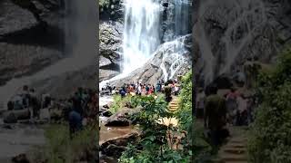 Must visit waterfall of chikmaglur|Majestic Hebbe Falls #hebbefalls #falls #waterfall #water